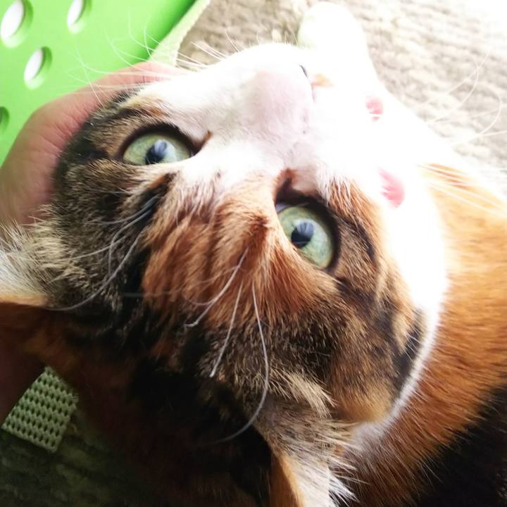 85cd5e3b 4073 41db 85ad 4d37ce334dbf 1584570690804