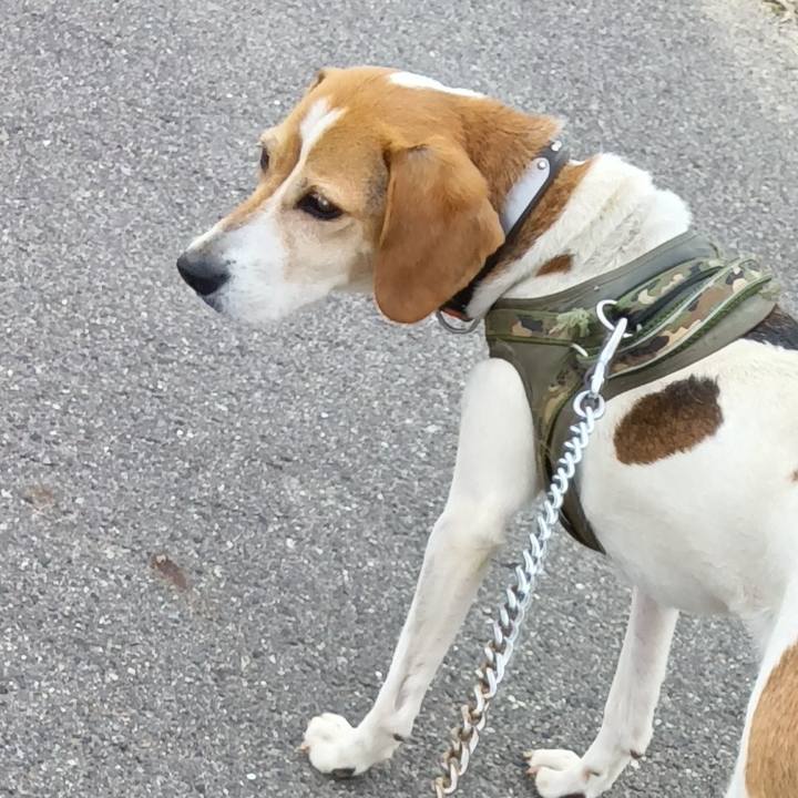 85cd8e45 ced0 4841 83ec bc696f181ec7 1719059024793