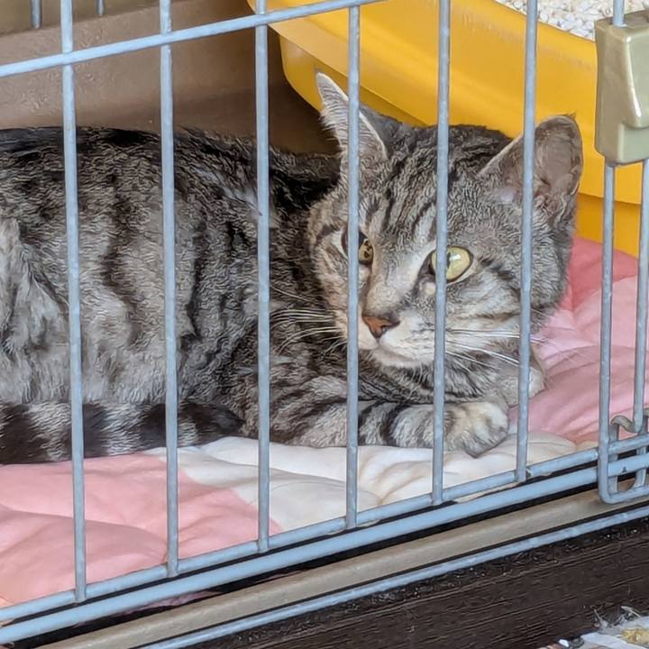 85cd9b5d 69e2 4ec1 9837 d77c52460c0d 1743415117583