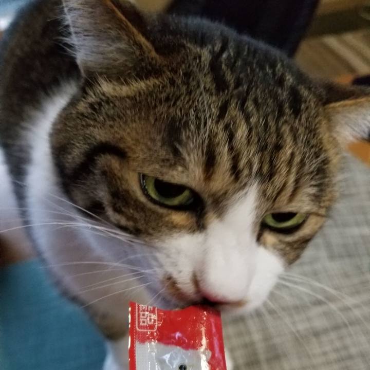 85cd9ff6 0a93 4576 a194 2b298ae3b083 1542529466136