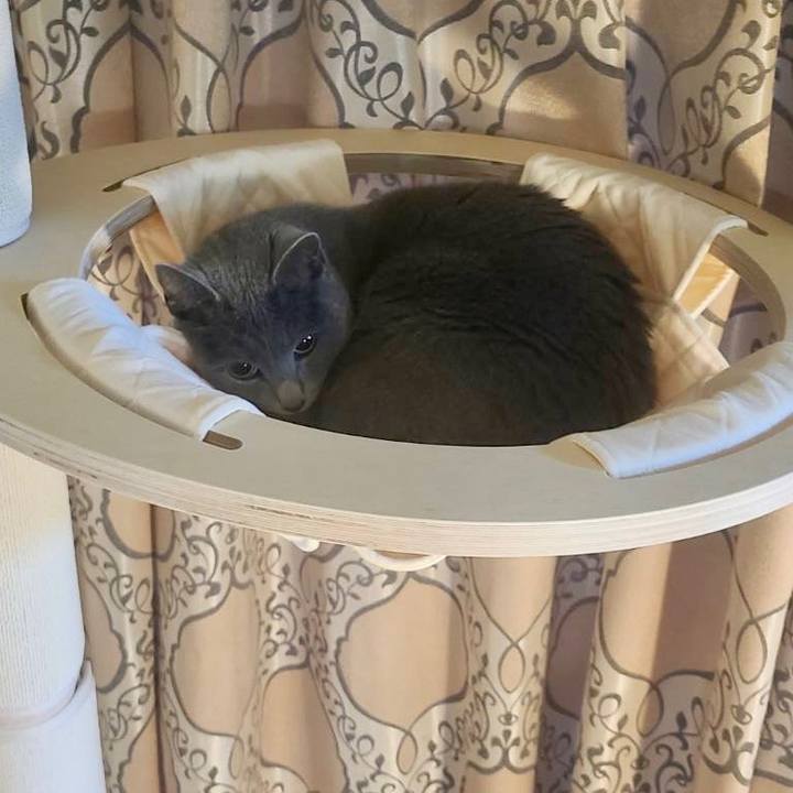 85cda5cb 726f 4667 8c93 4e6fead1dc3f 1706745223751