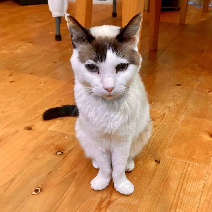 85cdd2fb dcb9 46f2 a9a7 66520923a1c8 1677799600101