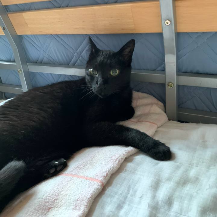 85cddde0 1de5 4b1c bc36 34ef0eac7d09 1594516634638