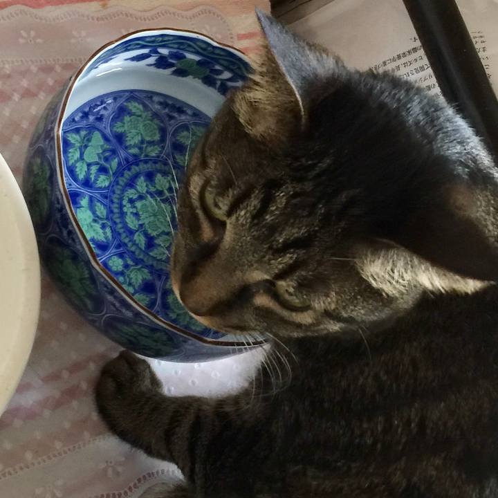 85cdeef7 2b64 494a aac2 9de5387b450b 1522727917098