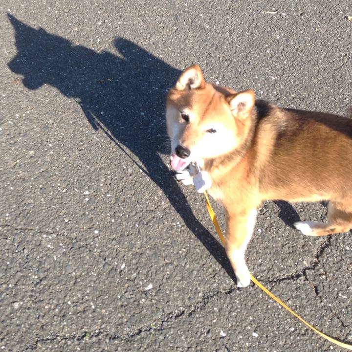 85ce149b 5c4e 4777 b298 c972307ea19d 1512638680357