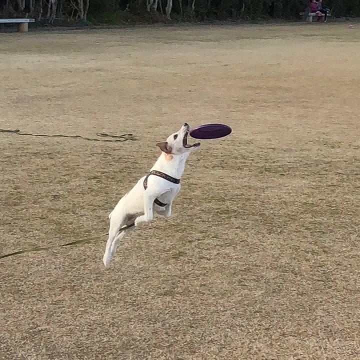 85ce2860 1ff5 47ba bdbe 7a5af4746c4d 1515310930077