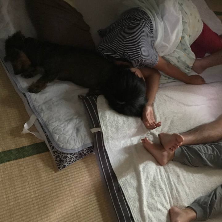 85ce7676 f0dd 4bf5 bb50 c36f8b0cc800 1538276328804