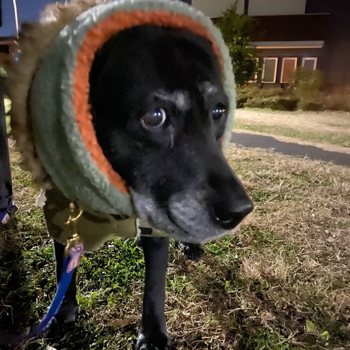 85cf0052 dbe9 443a 9d25 d5da36856f84 1639827944096