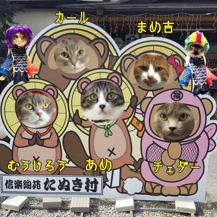 85cf0832 381c 4983 8c9b 3f43d765cc56 1585439743207