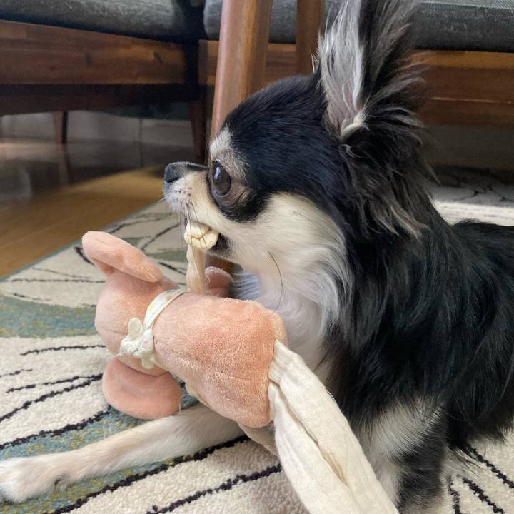 85cf4084 799c 4816 b15e f40f4f4eb9af 1624055089428