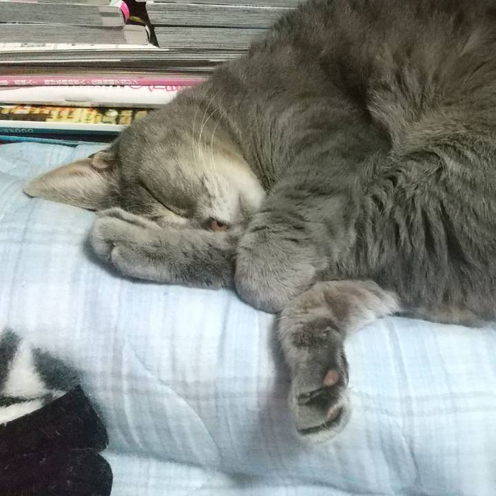 85cf884d bdb6 4d25 9a39 bb5834f47937 1620387060291