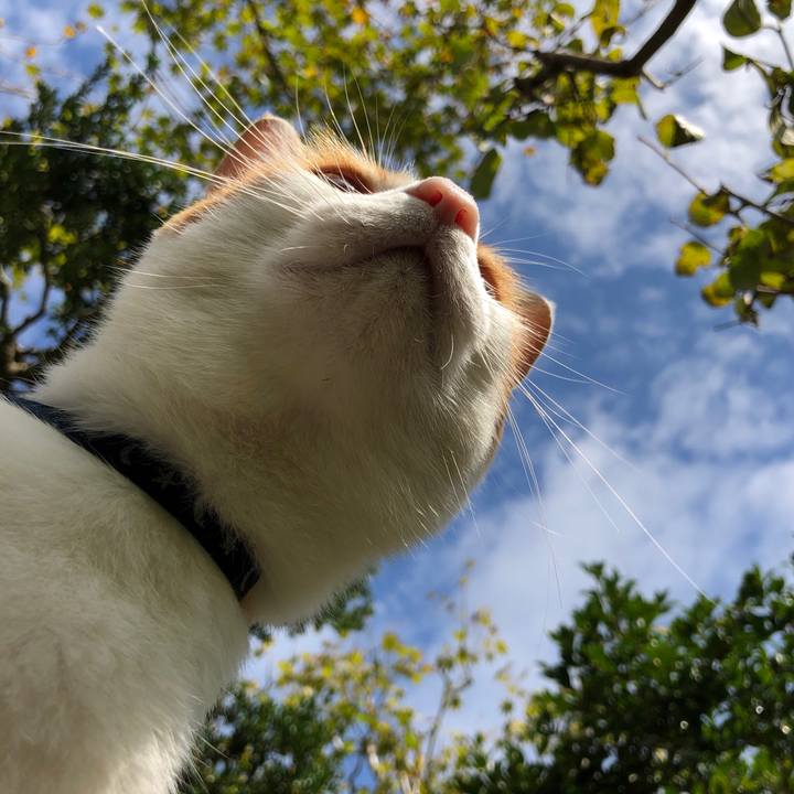 85cf8a95 85d0 413a 8aab 0863679288ec 1539483101002