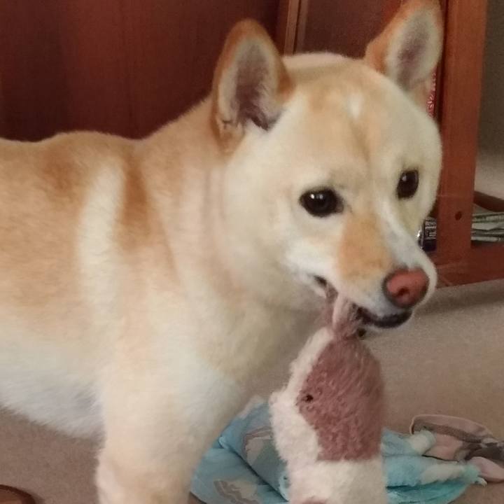 85cfeeab ac9e 4587 a674 aad380017ad0 1530490257031