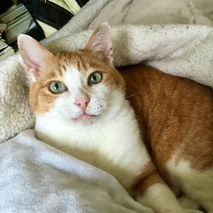 85cff3ff aa71 4e1b a82b effc6b3d4306 1625194345740