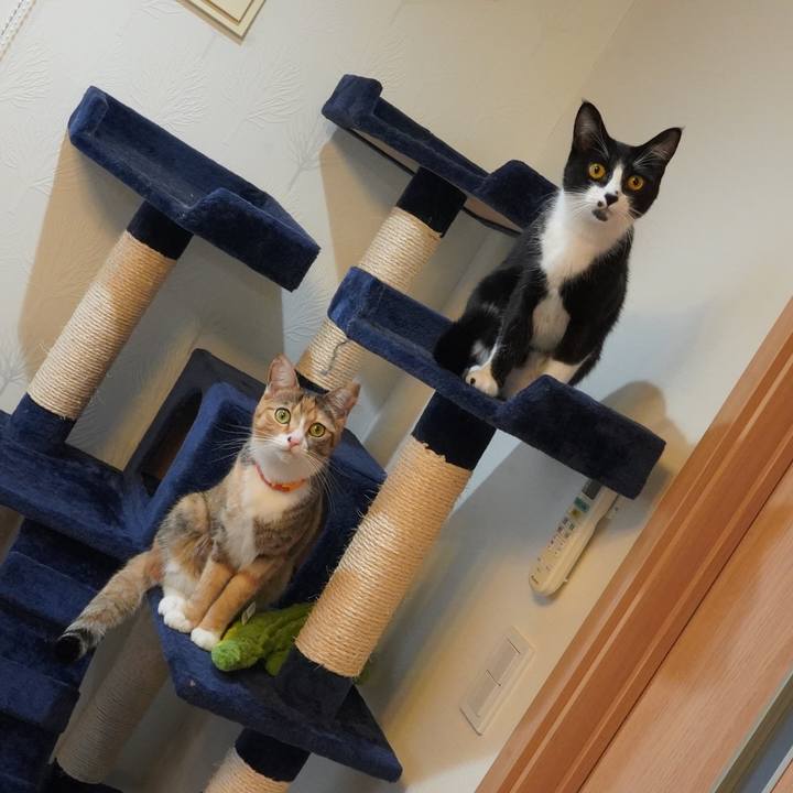 85d03d28 34bf 4c57 aff1 5da647592b6e 1607782782342