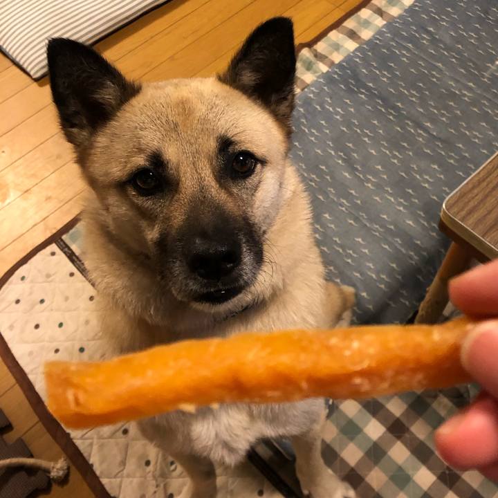 85d08c89 7507 470b 96e8 acbc5bd08579 1564143648753