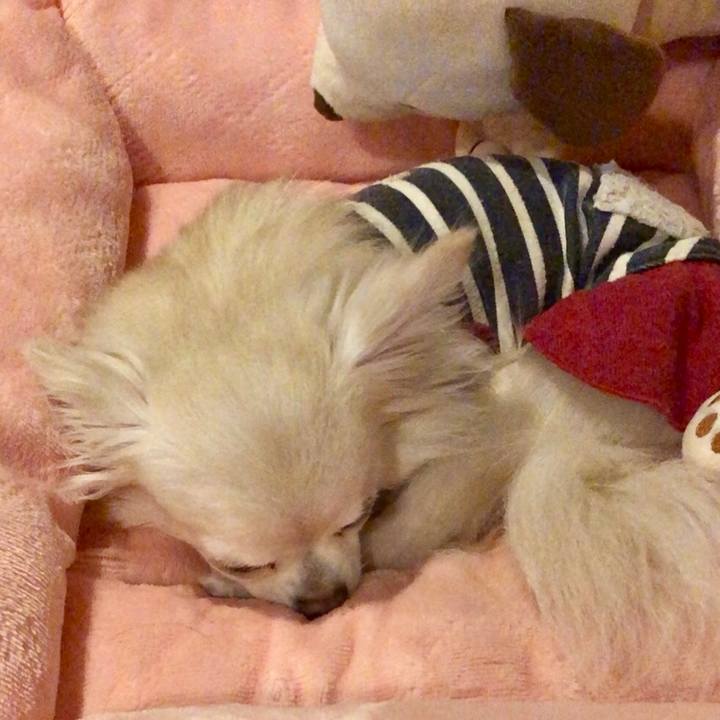 85d0d6ea 2f24 4621 b973 c9f2c32e9a88 1514730800141