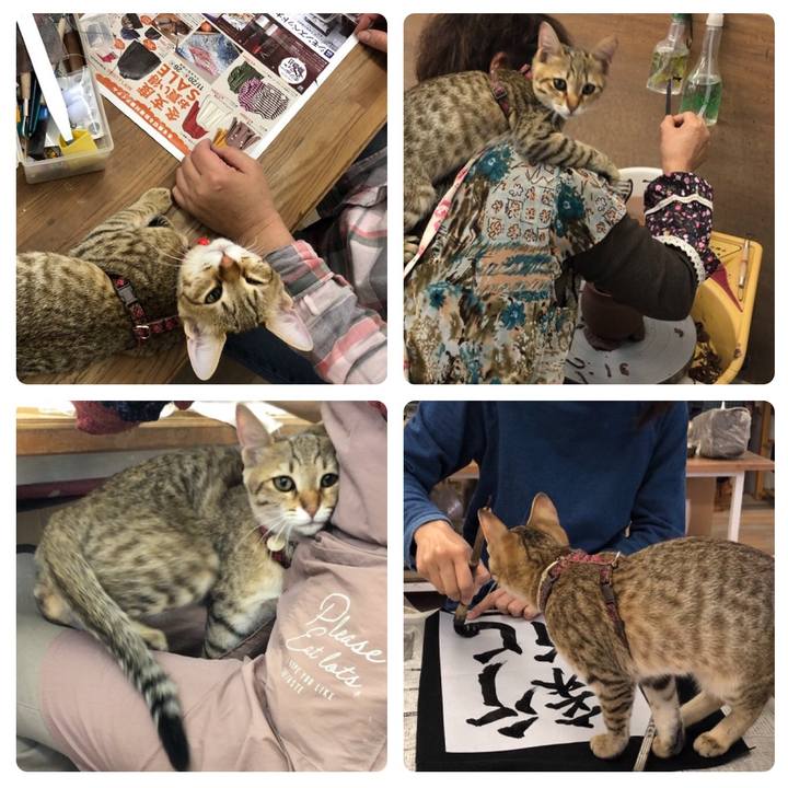 85d0db4b 8af7 4c56 8aa1 8f431e858898 1578731061848