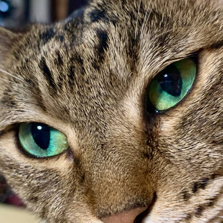 85d13450 d3b8 4dd4 9a55 1cf7d084aa5a 1597456182347