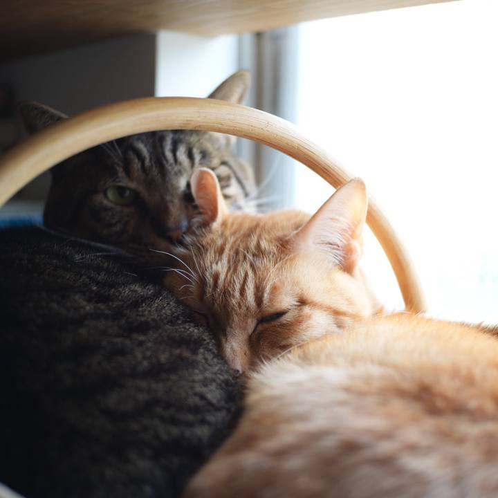 85d14de4 0037 4104 8e00 af2b2cd90e1d 1736672632192