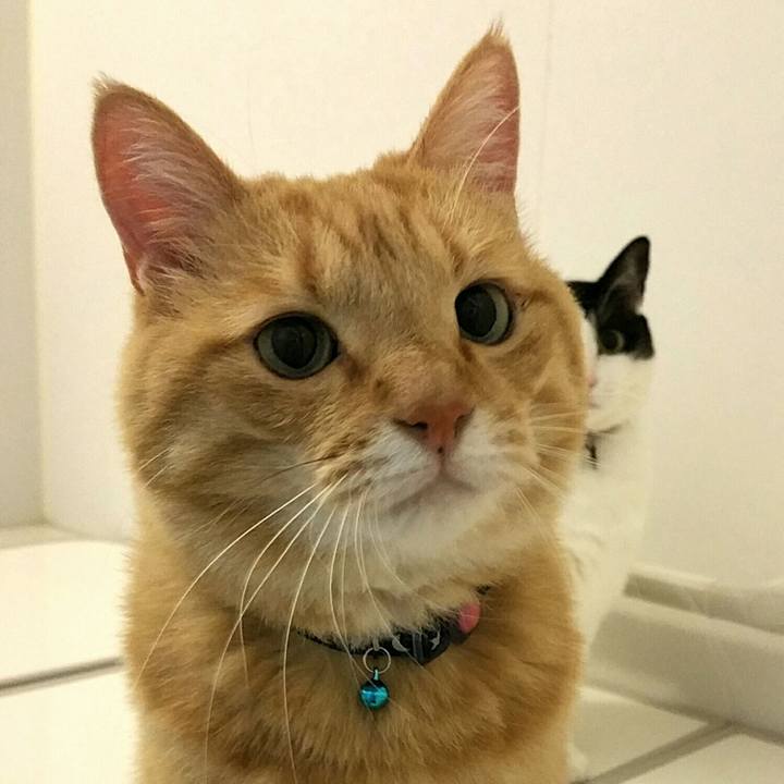 85d151d7 ad20 40f6 96ae d0da84bd7e54 1571967546056