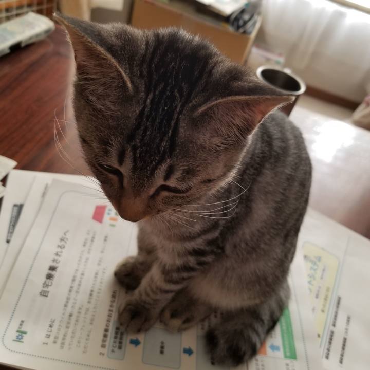 85d158e4 9d23 4b25 be62 5ef2c0be8ae4 1668523265690