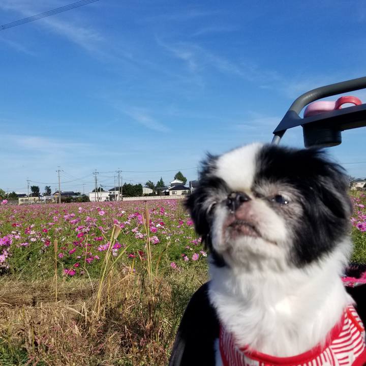 85d17673 51bf 4835 b45c f27b4e6835bf 1571814994200