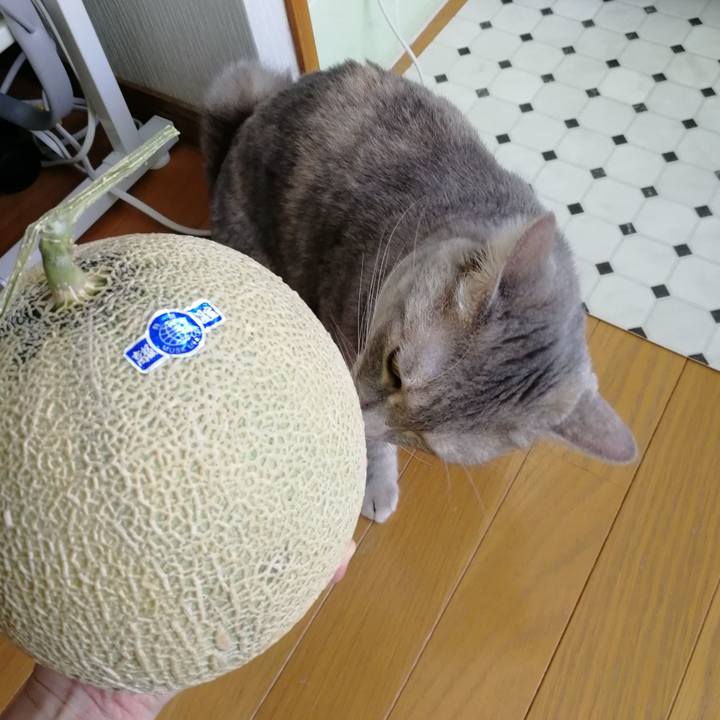 85d18423 7d8d 4d87 97ce ae0bbaf7a382 1534145975673