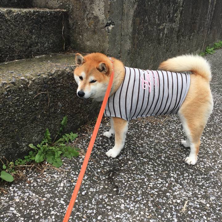 85d1845d b595 4084 98d6 c37b58cc0cb4 1571366984273