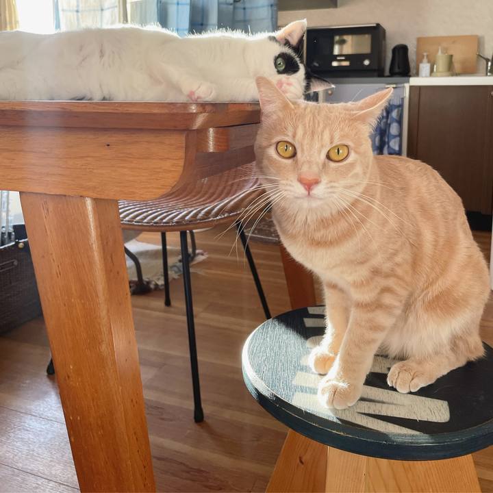 85d1f081 a16a 4c5e 8eac 4ef3642f30cf 1619433986636