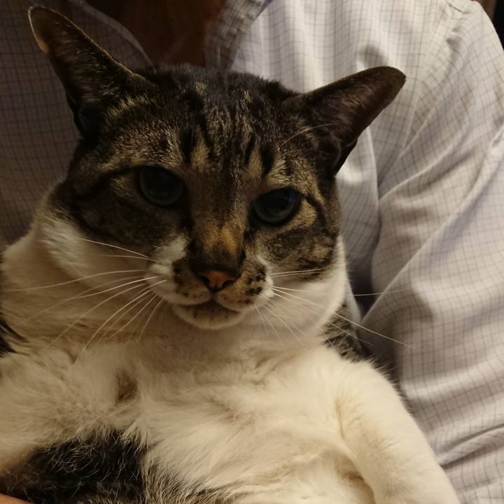 85d1f72d 2fe9 4d28 a8eb 4eea9309eb55 1523677246534