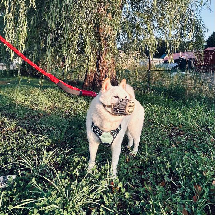 85d20a6a 7af6 4251 8d2a 3b0503366b72 1696115081326