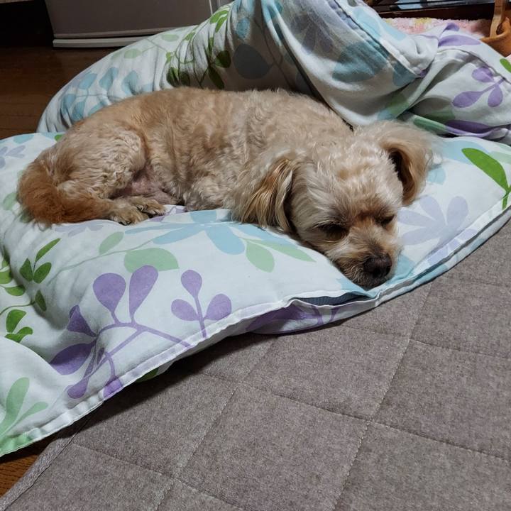 85d20ed9 1522 4334 9a76 952df752dd89 1729592640480