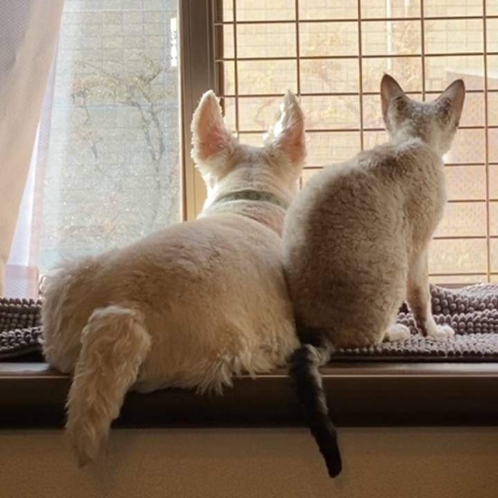 85d228ad 41db 4b22 a372 e9b5552726e7 1605668010042