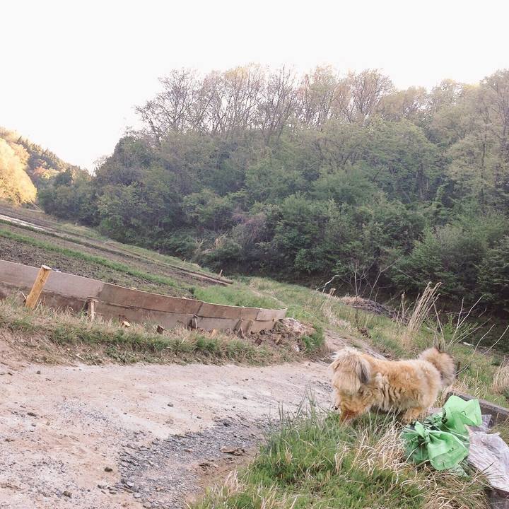 85d27a89 0b6b 452a a54e 3bd80d23b00f 1609563065682