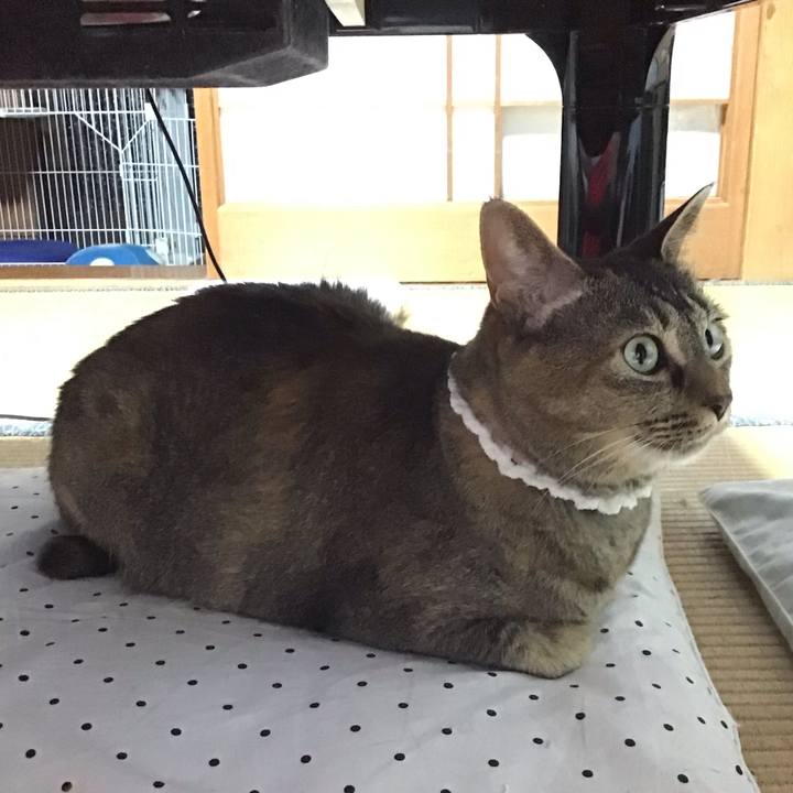 85d28eee 7d5d 43ab 87a4 3b625970ade4 1687615335309