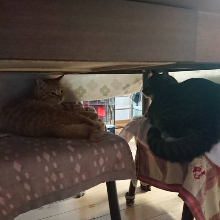 85d295d4 33a2 4c61 9695 0577896e7f21 1643753477542