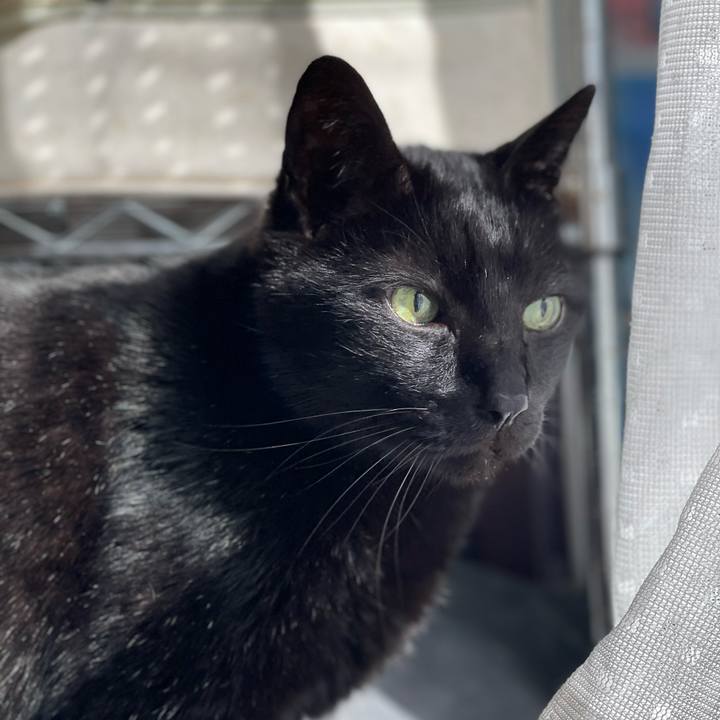 85d2a885 b2cb 4c32 a8c5 c4862b2da447 1649038674513