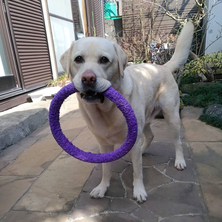 85d2ca93 6e06 4885 96a9 d8b90a17ff81 1614307326186