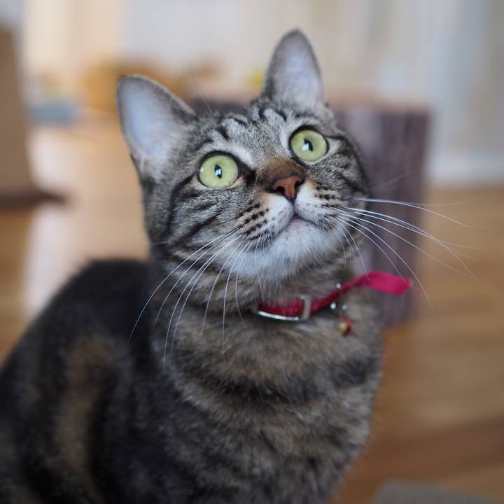 85d2ee29 8153 4f88 bb13 9ccc4f78a448 1594699621449