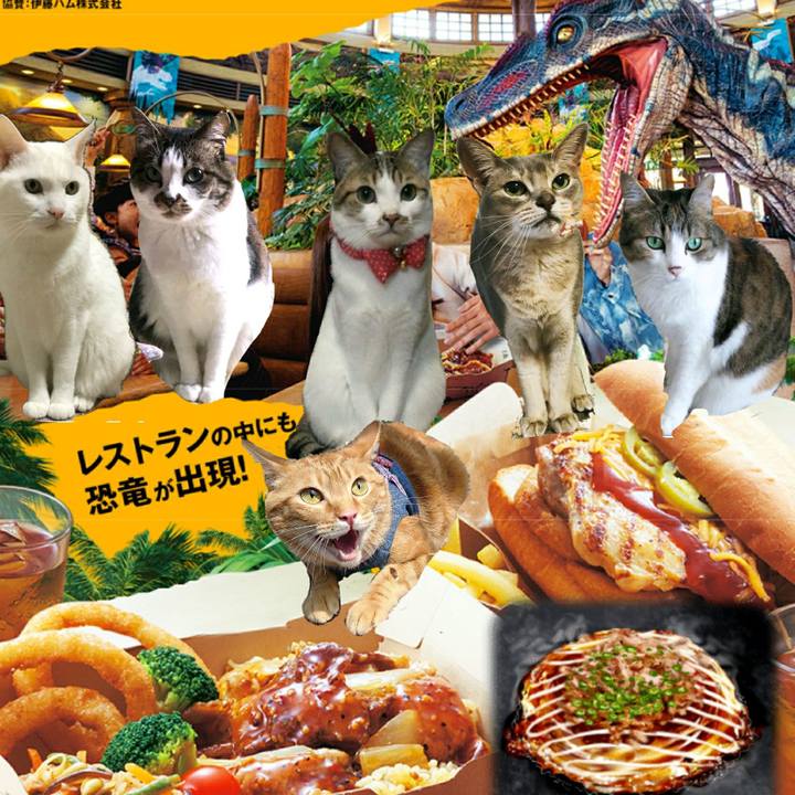 85d2f017 6540 4ad2 8beb 82acbd6c88cd 1529207051232