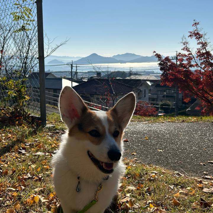 85d322ee a512 41e7 a752 177491259814 1764379415346