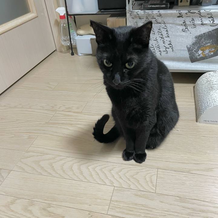 85d32555 c04e 42f5 bc50 f68ac813e2a3 1710852317234