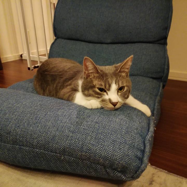 85d34b6d 9429 4fad 950f b2f9f807dad4 1586339857573