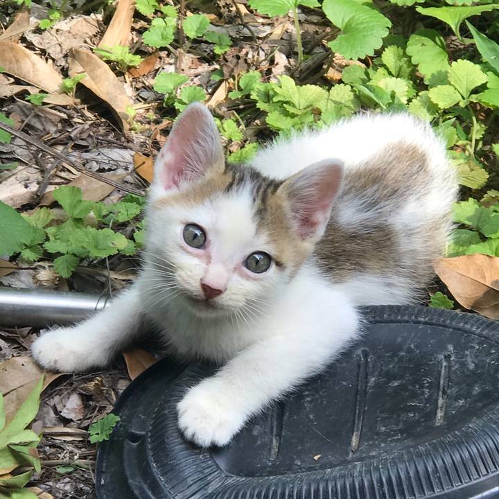 85d36049 2b8d 4cbd 8eda 5566dbc0e2a6 1595495201199