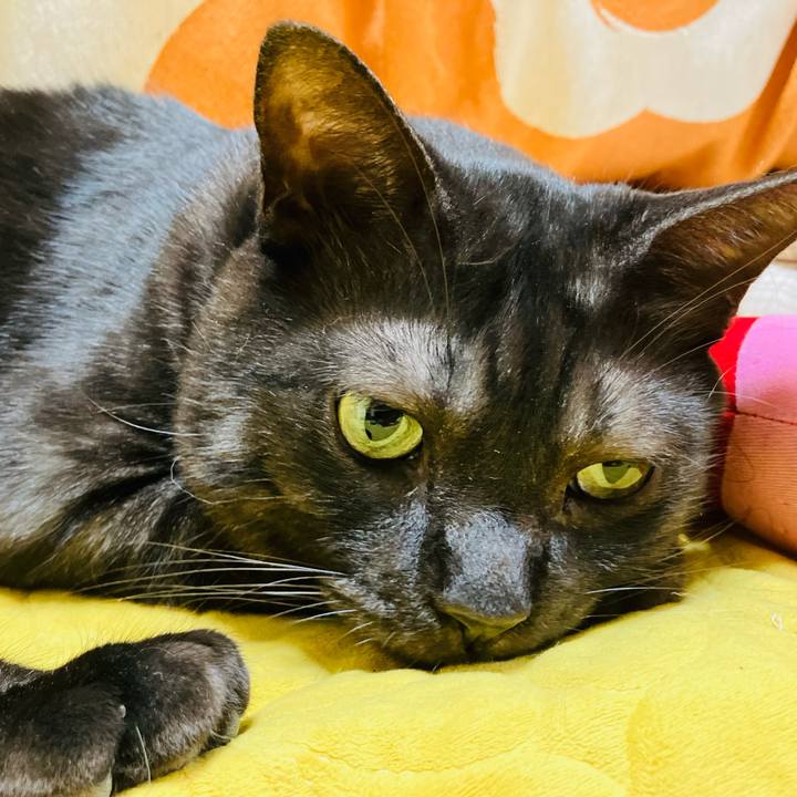 85d391f9 d3dc 4a11 9028 b99970cfe37f 1747995672809