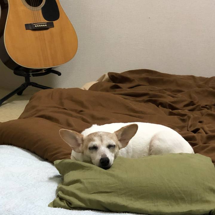 85d39d25 5d72 4183 b7ba 6dc459afd686 1542098552254