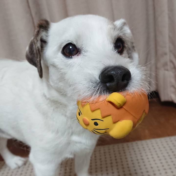 85d3bc94 6f0b 4e29 9eef b8ac10d972d0 1548286697976