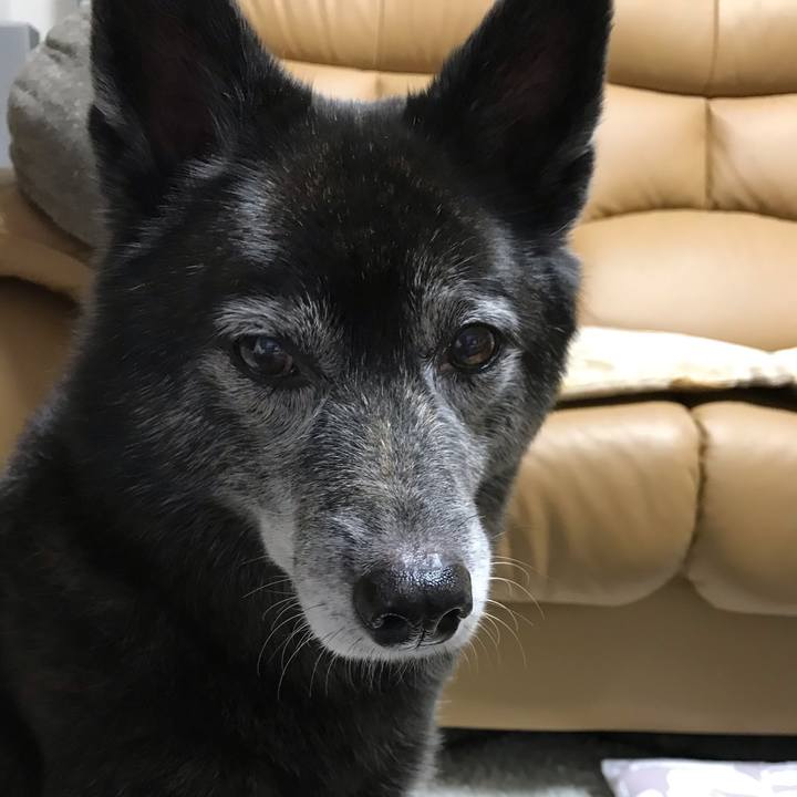 85d3bc95 8368 48e9 8df1 31b89fb34b11 1604236762652