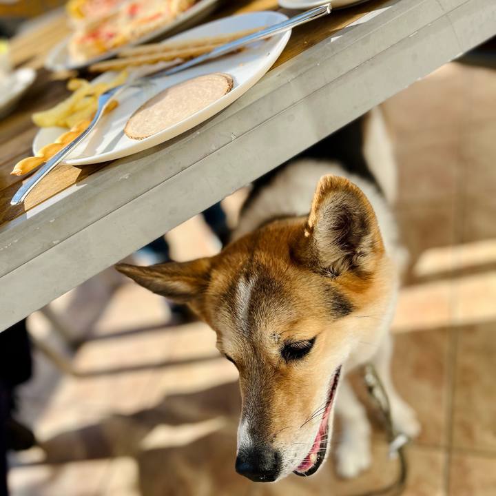 85d3ceb5 6cc8 4972 a098 269125ba96ba 1763183155256